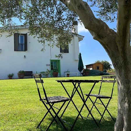 Bed And Breakfast Country Cottage Civitavecchia Luaran gambar